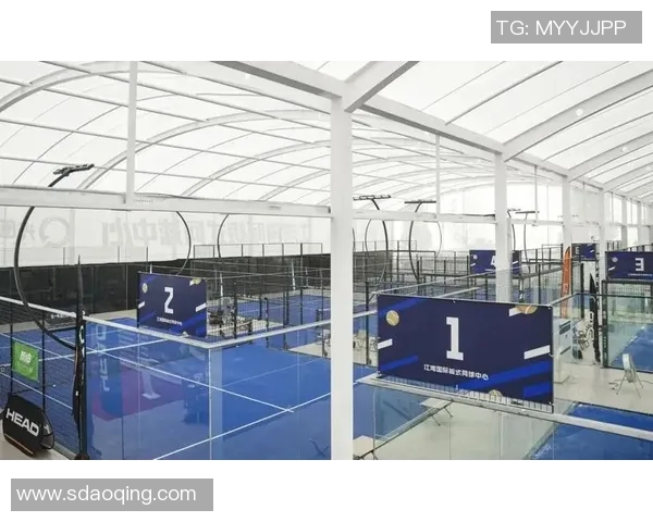 我国板式网球巡回赛湖南站挥拍 意大利华裔组队参赛 我国板式网球巡回赛湖南站挥拍 意大利华裔组队参赛